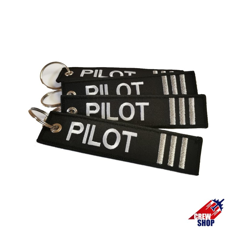 PILOT Plata (Primer Oficial)