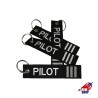 PILOT Plata (Primer Oficial)