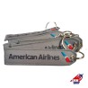 AMERICAN AIRLINES